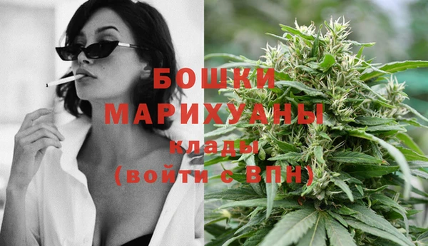 PSILOCYBIN Дмитровск