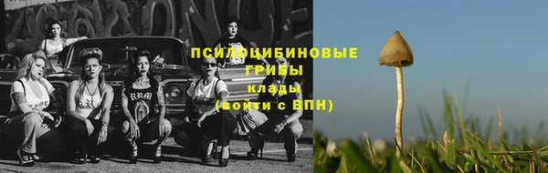 соль ск Дмитров