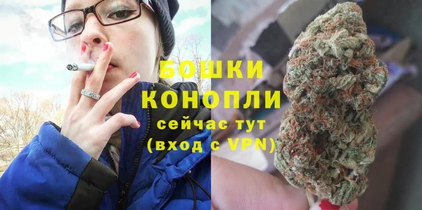 соль ск Дмитров