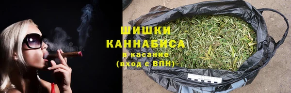 PSILOCYBIN Дмитровск