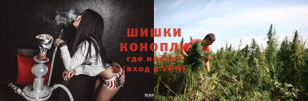 мдпв Касимов